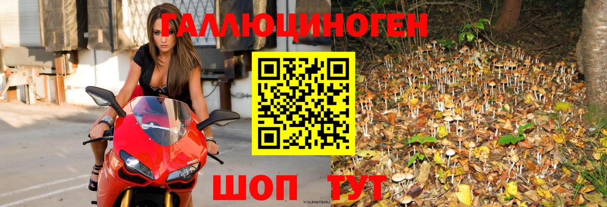 Псилоцибиновые грибы ЛСД  Вход с VPN  Энгельс  Галлюциногенные грибы Magic Shrooms 