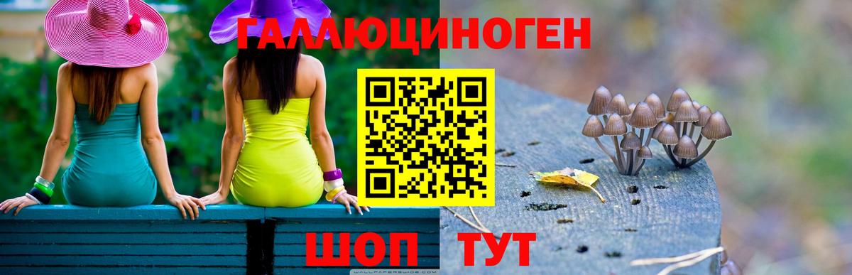 Галлюциногенные грибы Magic Shrooms Энгельс